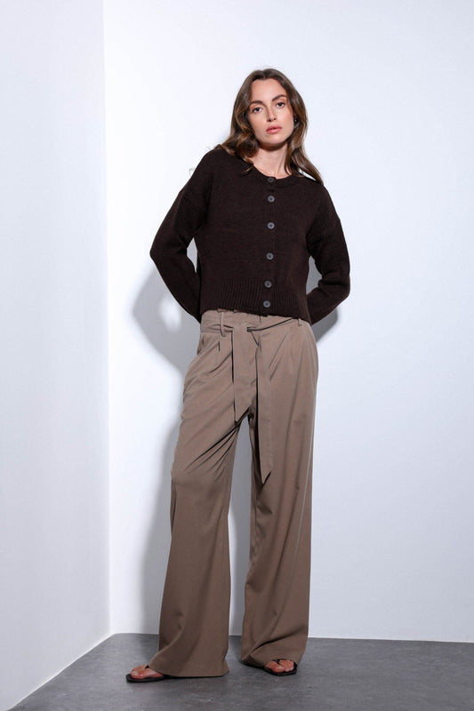 Antioch Arched-Waist Pleated Wide-Leg Women's Pants